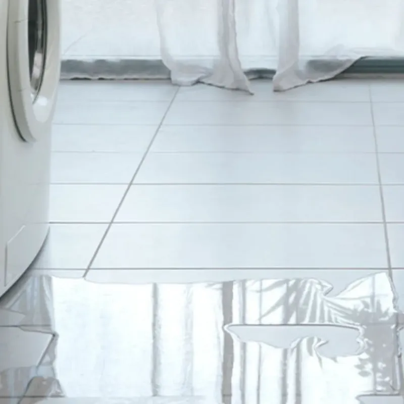 Appliance Leak Cleanup in Newburg, WI