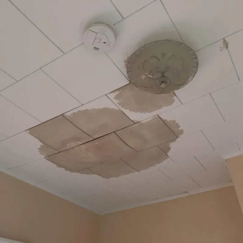 Ceiling Water Damage Repair in Newburg, WI