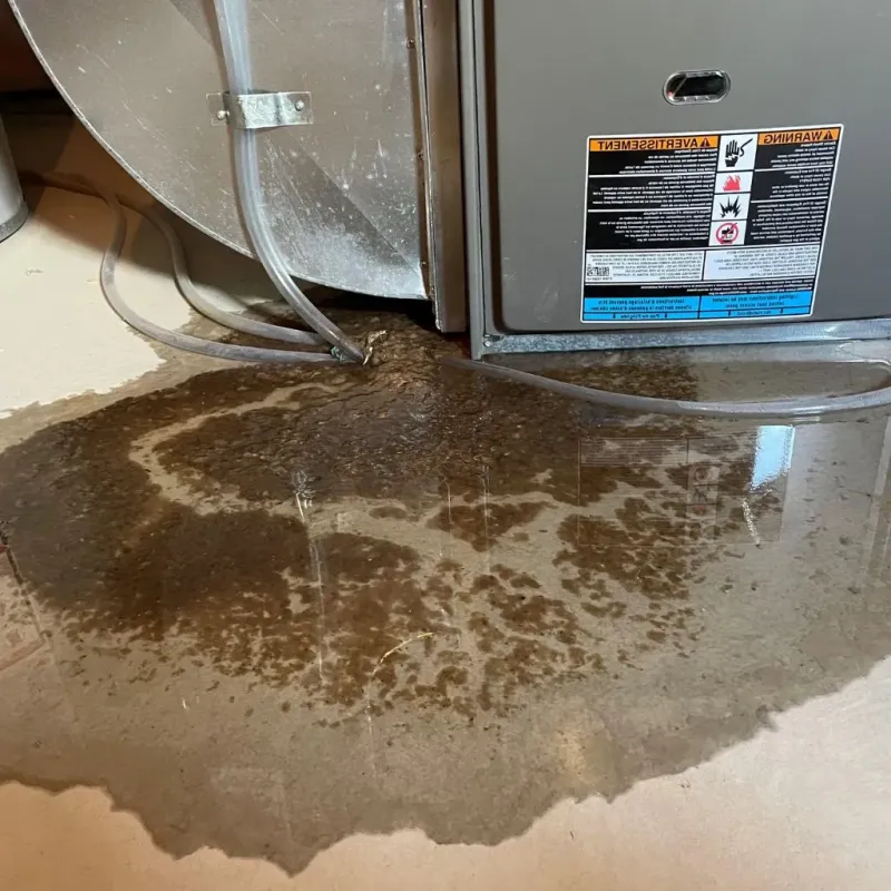 Pipe Burst and Leak Restoration in Newburg, WI
