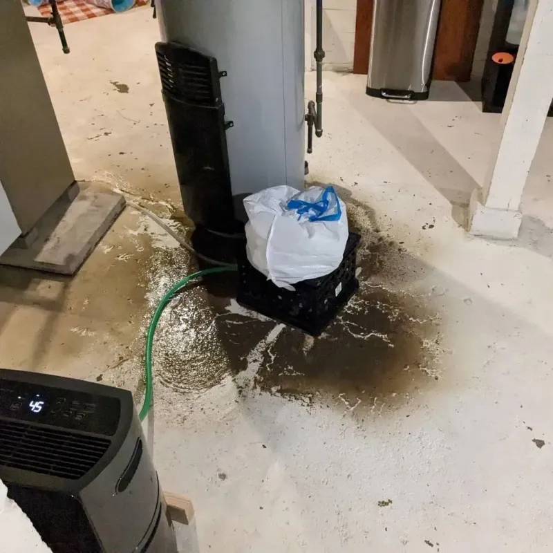 Sewage Backup Cleanup Service in Newburg, WI